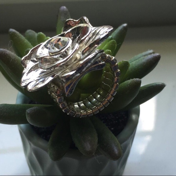 Ring - Picture 2 of 4